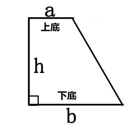 梯形長怎樣